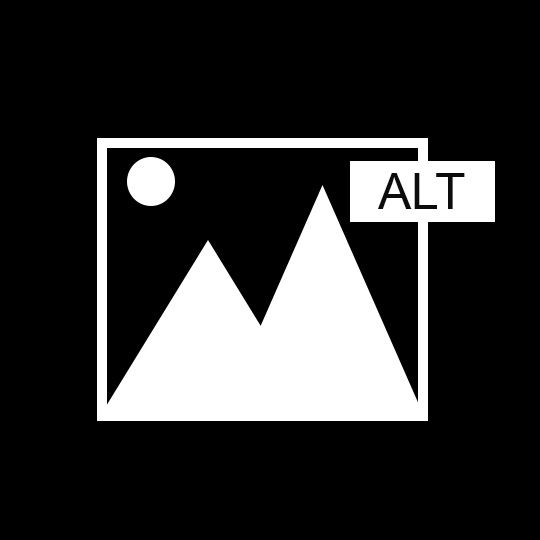a image of the typical image icone with the alt text at the rigth hand.